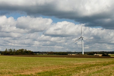 Environment